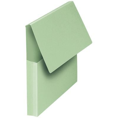 FAST 10 Pochettes VIP - 24x32 - Kraft - Vert pastel