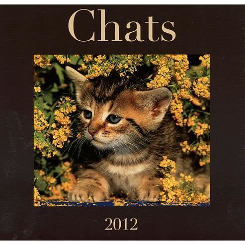 Chats 2012 ; le calendrier   Achat / Vente livre Gabrièle Boiselle