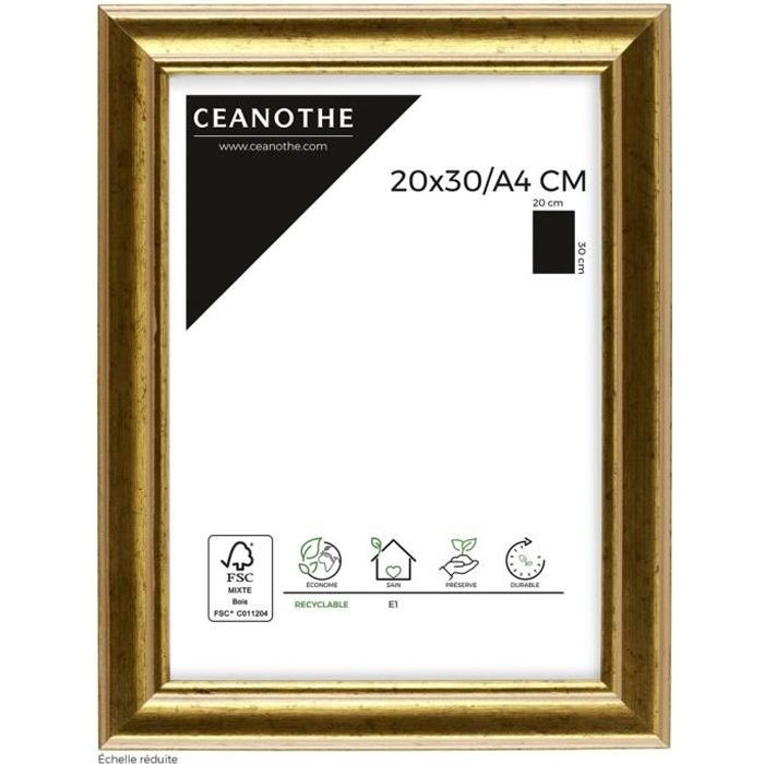 Cadre dore 20x30 Achat / Vente pas cher