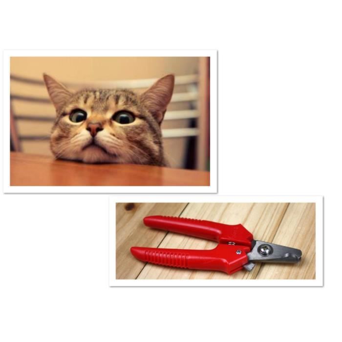 Pour Animaux De Compagnie Chat Chien Griffe Nailclippers Pet Nail Clippers Trimmer Animal Cutter Coupe Ongles En Acier Inoxydable