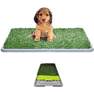 Tapis Anti Pipi Pour Chien