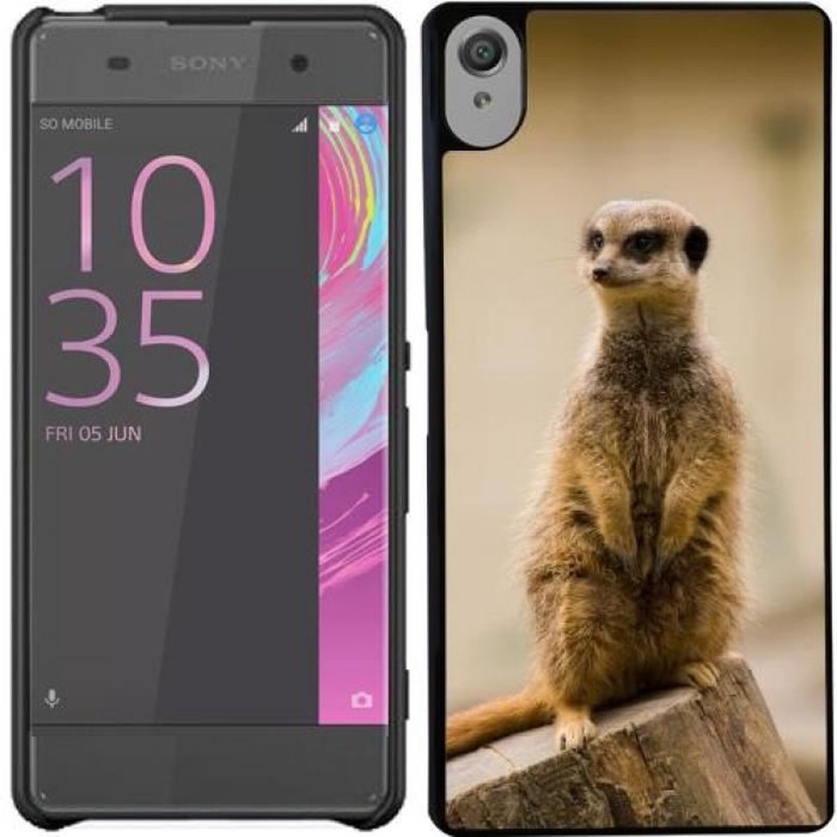 coque iphone 6 suricate
