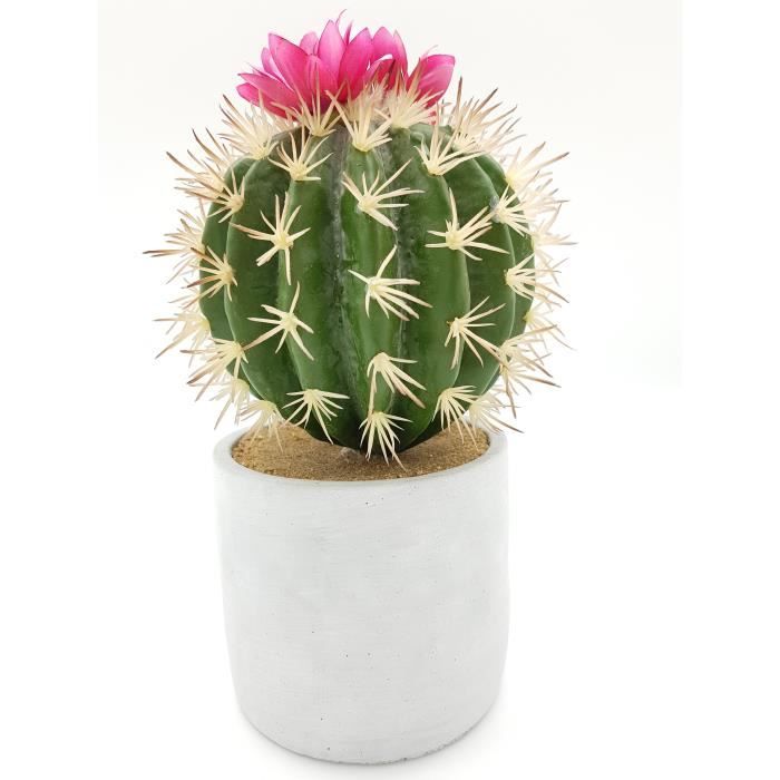 cactus deco achat vente pas cher cactus deco achat vente pas cher