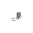 JF Joaillerie Bague Chevaliere Homme Tete De Loup Garou Acier Massif Game of Throne Stark Biker Punk Harley Rock E21