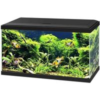 AQUARIUM Ciano - Aquarium 60 LED - Noir AQUARIUM Ciano - Aquarium 60 LED - Noir