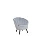 Fauteuil En Velours Gris Clair Dala