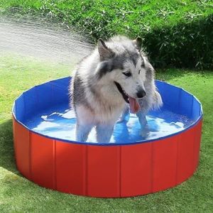 Piscine Pour Grand Chien Achat Vente Jeux Et Jouets Pas Chers