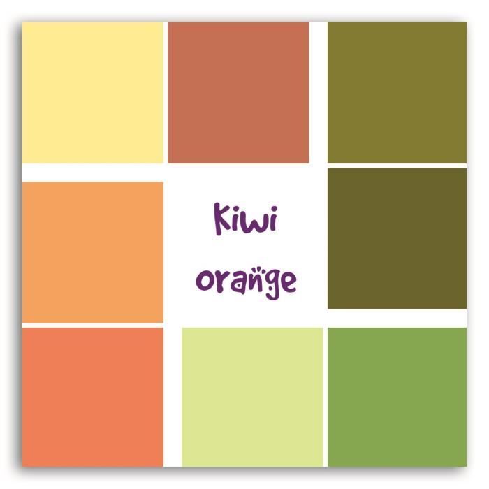 TOGA 20 Feuilles Cartonnées Sorbet Kiwi Orange - 30x30 cm