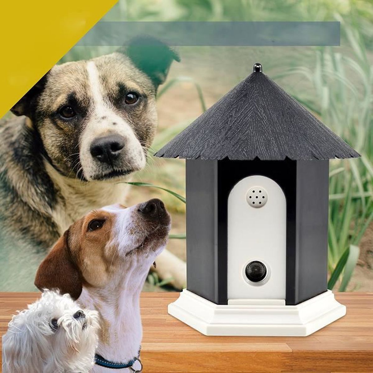Ultrason chien - Achat / Vente Ultrason chien pas cher Ultrason chien - Achat / Vente Ultrason chien pas cher