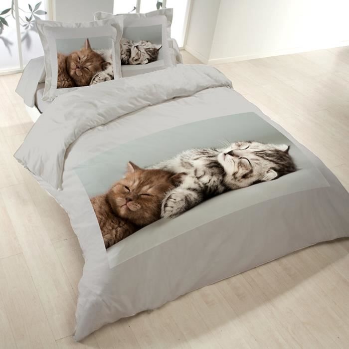 Housse de couette 220x240 cm Chatons + 2 taies - Achat ...