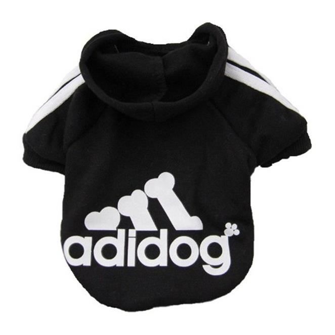 pull pour chiot