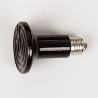 ÉCLAIRAGE Hiver Ampoule En Céramique Infrarouge Lampes Chauf ÉCLAIRAGE Hiver Ampoule En Céramique Infrarouge Lampes Chauf