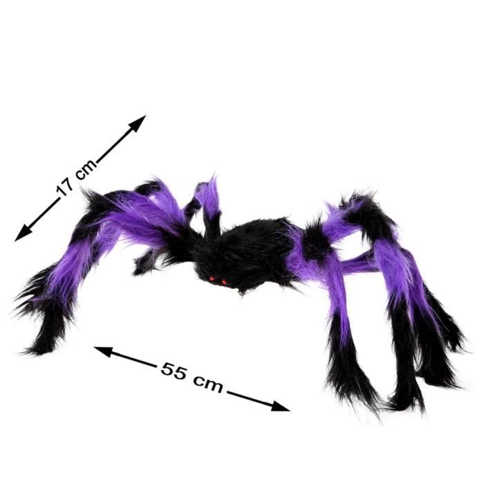 Araignée 17 x 55 cm