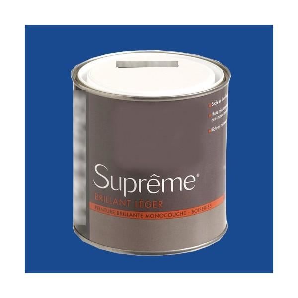 Peinture De Marque Bleu Nuit Brillant Léger 05l 05 L Achat