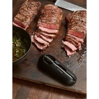 THERMOMÈTRE DE CUISINE MASTRAD F74300 Meat°it - Sonde de cuisson sans fil THERMOMÈTRE DE CUISINE MASTRAD F74300 Meat°it - Sonde de cuisson sans fil