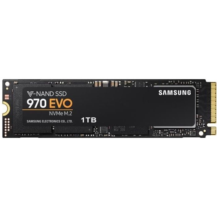 SAMSUNG SSD NVMe 970 EVO 1 TERA