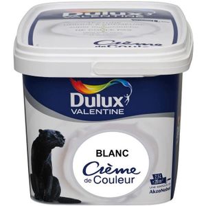 Peinture Couleur Sable Chaud Covena