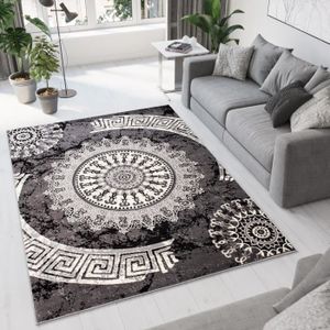 TAPIS TAPISO Dream Tapis de Salon Chambre Design Moderne