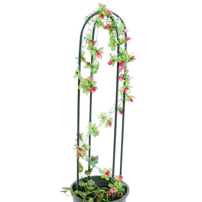 Pinji Support pour Plantes Grimpantes Jardinage Tuteur de ...