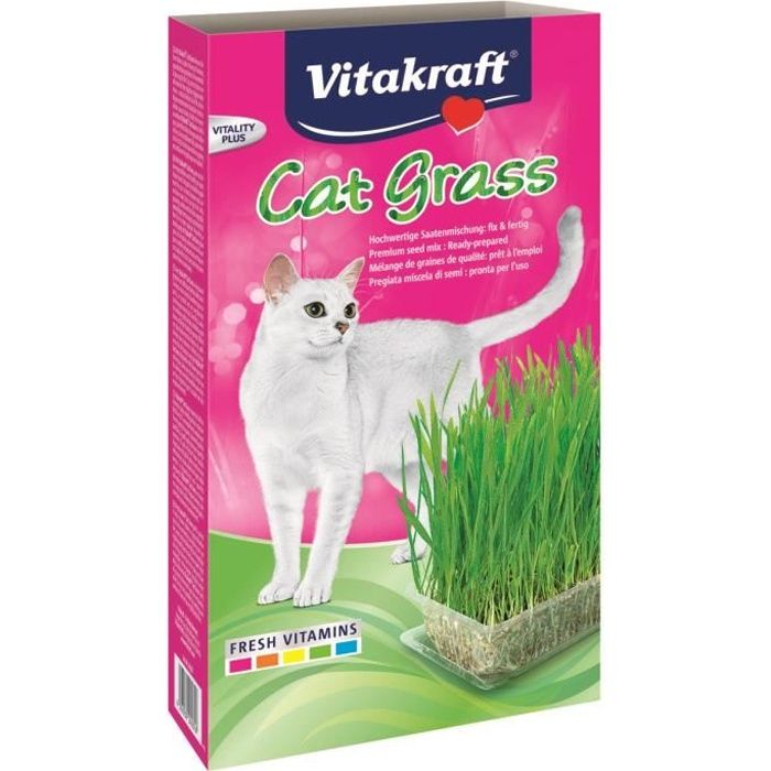 Herbe a Chat Cat-Gras pour Chats - Vitakraft - 120g