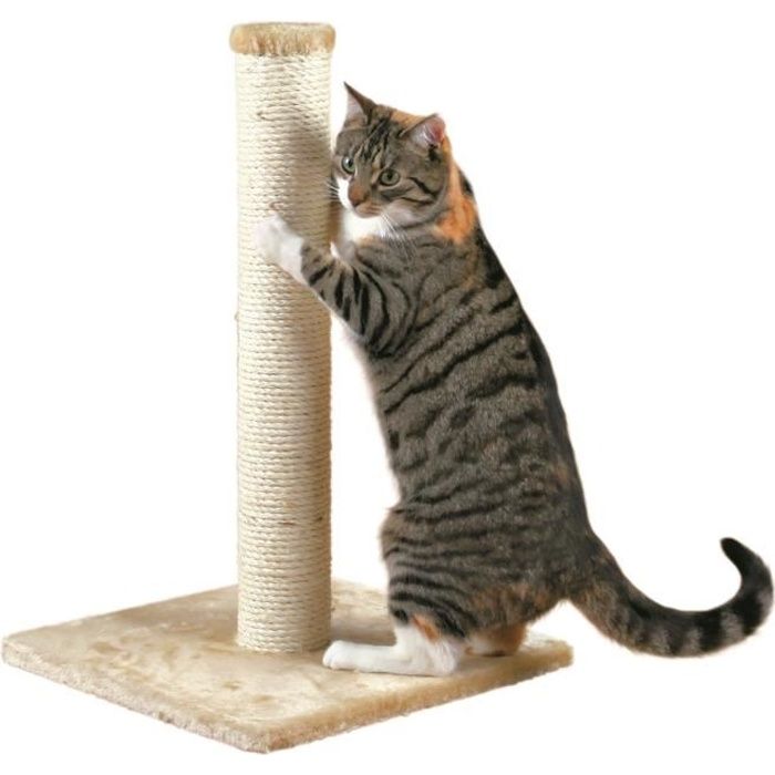 TRIXIE Parla Arbre à chat Hauteur 62 cm beige peluche et sisal naturel