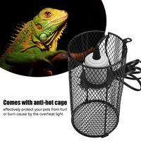 ÉCLAIRAGE Reptile Lampe de chauffage en céramique support an ÉCLAIRAGE Reptile Lampe de chauffage en céramique support an