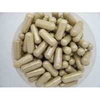 DÉTOXIFIANT Bardane grande 120 gélules à 500 mg (en flacon) DÉTOXIFIANT Bardane grande 120 gélules à 500 mg (en flacon)