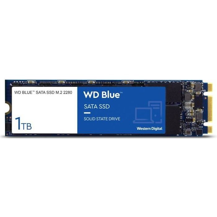 WD Blue™ - Disque SSD Interne - 3D Nand - 1To - M.2 (WDS100T2B0B)