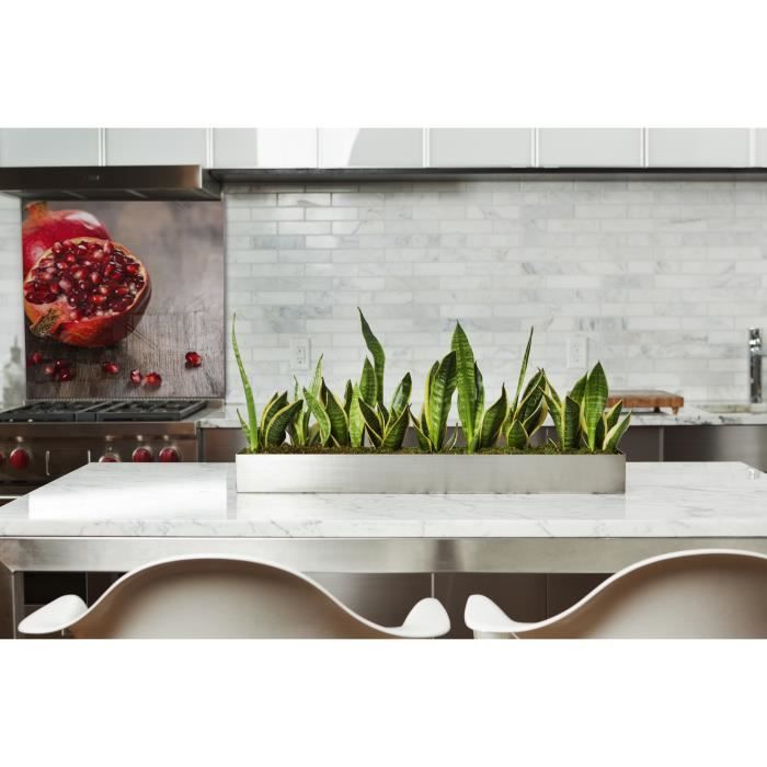 Fond de hotte "Grenade" en Verre de2