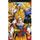 DRAGON BALL Z SHIN BUDOKAI 2 / JEU CONSOLE PSP