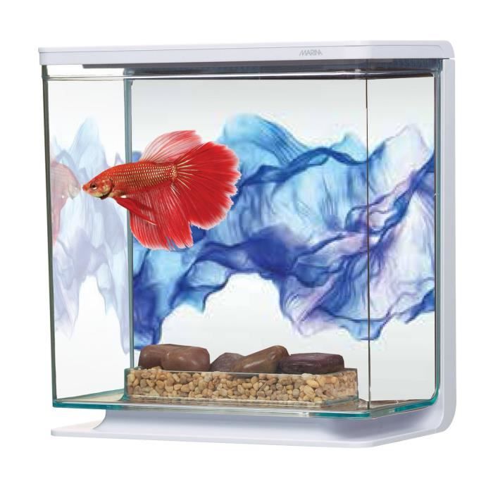 MARINA Kit aquarium équipé Voile Bleu pour betta - 3L