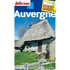 Petit Futé Auvergne Achat Vente Livre Dominique Auzias - 