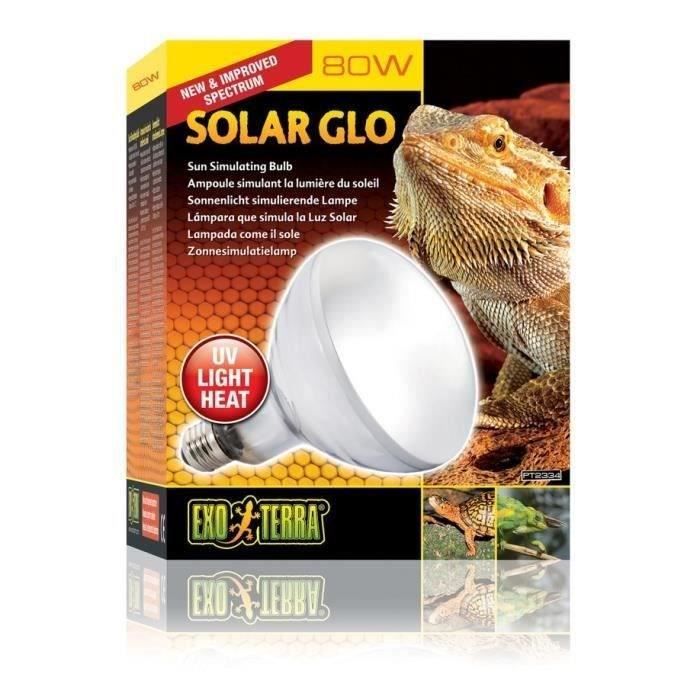 Ampoule Solar Glo pour Terrarium Reptile - Exo Terra - 80W