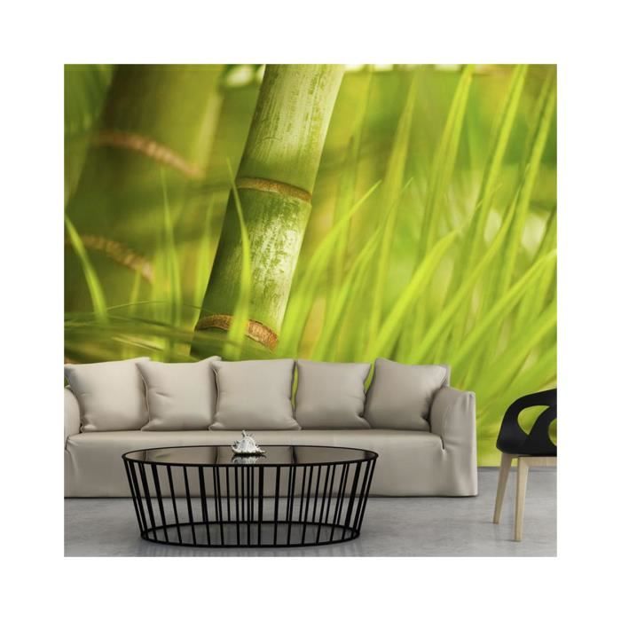Papier Peint Bambou Nature Zen Dimension 400x309 Achat
