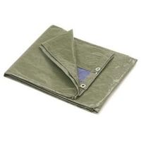 BACHE BACHE - BLEU-VERT - BASIC - 2 x 4m BACHE BACHE - BLEU-VERT - BASIC - 2 x 4m