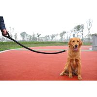 LAISSE - ACCOUPLE EOZY Laisse Cordon en Nylon Pour Chien Chat Ani... LAISSE - ACCOUPLE EOZY Laisse Cordon en Nylon Pour Chien Chat Ani...