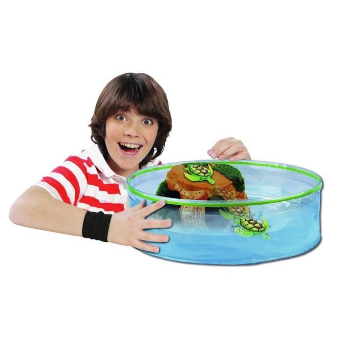 Aquarium Tortue
