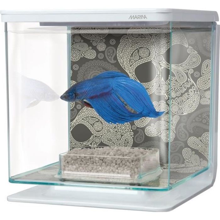 MARINA Kit aquarium équipé Tête de mort pour betta - 2 L