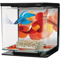 AQUARIUM MARINA Kit aquarium équipé Art déco pour betta - 2 AQUARIUM MARINA Kit aquarium équipé Art déco pour betta - 2