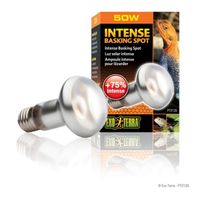 ÉCLAIRAGE INTENSE BASKING SPOT ampoule 50 W ÉCLAIRAGE INTENSE BASKING SPOT ampoule 50 W