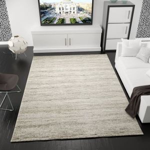 tapis de salon achat vente tapis de salon pas cher tapis de salon achat vente tapis de salon pas cher