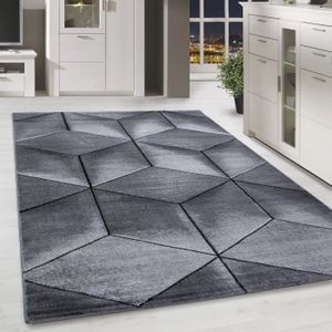 TAPIS Salon au design contemporain sans couture, poil co