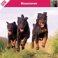 LIVRE ANIMAUX Calendrier chien 2016 - Race Beauceron - Affixe Ed LIVRE ANIMAUX Calendrier chien 2016 - Race Beauceron - Affixe Ed