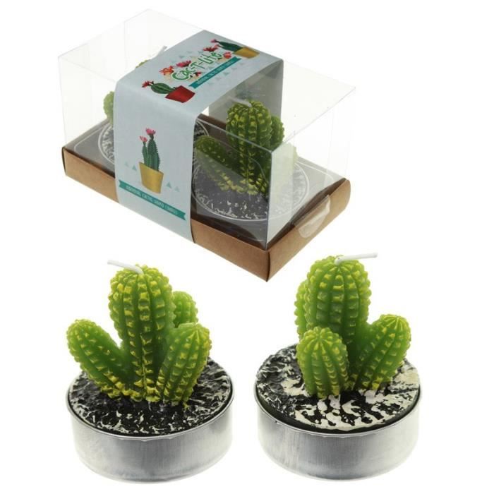 Lot de 2 Bougies - Cactus à Piques