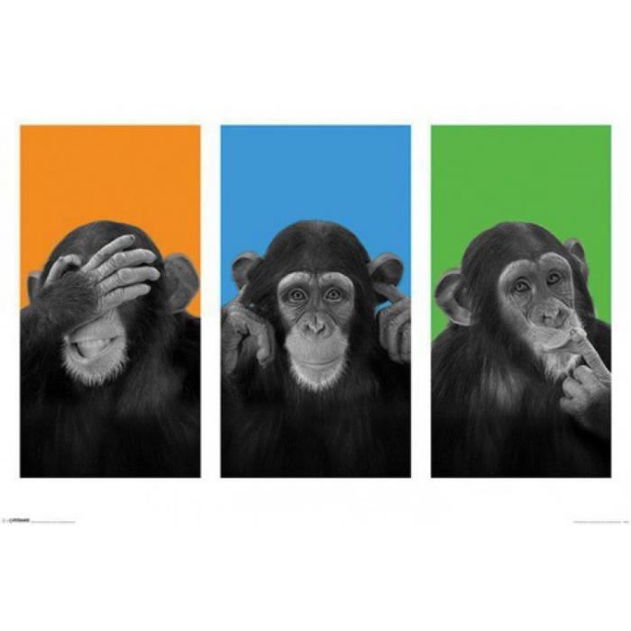 Не вижу ответа не слышу ответа. Обезьяны не слышу не вижу. Триптих обезьяны. Картина три обезьяны. Обезьяны ничего не вижу.