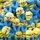 Pantoufles Femme Homme Minions En Peluche Hiver Po