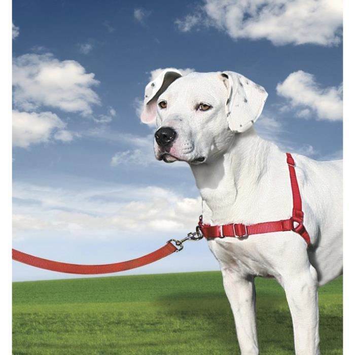 Easy Walk Harnais M rouge