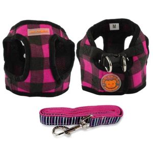 Set Harnais Pour Chien Puppy Gilet Leash Parfait Pour Chats