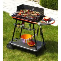 BARBECUE QOOKA A540 Barbecue acier sur chariot 56 x 41 cm BARBECUE QOOKA A540 Barbecue acier sur chariot 56 x 41 cm