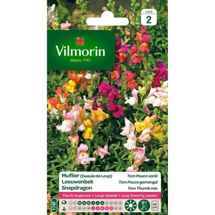 VILMORIN Muflier Tom Pouce varié
